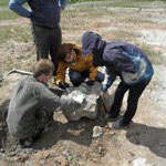 oboz paleontologiczny